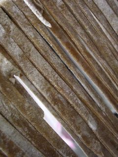 黒にんにくパスタ-レシピのメイン写真