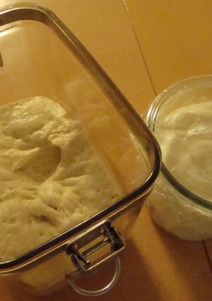 ルヴァンナチュレル・酵母種-レシピのメイン写真