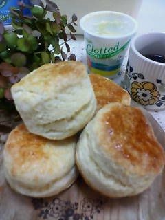 クロテッドクリーム・スコーン-レシピのメイン写真