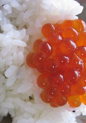 “生筋子”から“いくら”へ変身-レシピのメイン写真