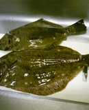 【お魚】簡単かんたん☆ヒラメのさばき方①