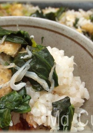 タジン菜飯-レシピのメイン写真