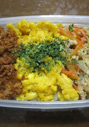 離乳食にもお弁当にも便利☆野菜鶏そぼろ-レシピのメイン写真