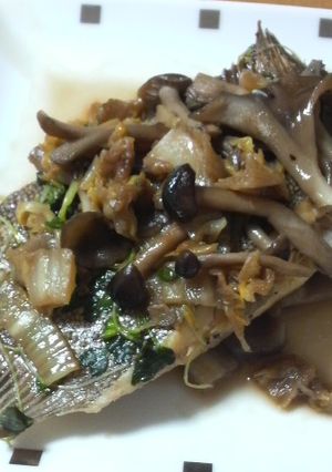 ヘルシー!!カレイのバター醤油蒸し-レシピのメイン写真