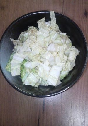 混ぜるだけ☆白菜のピリ辛漬け-レシピのメイン写真