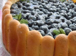 2層ブルーベリーチーズケーキシャルロット-レシピのメイン写真