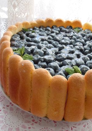 2層ブルーベリーチーズケーキシャルロット-レシピのメイン写真