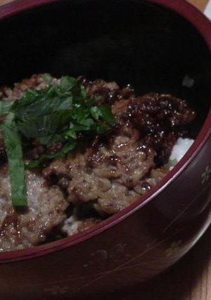 節約レシピ★とろとろ豚丼-レシピのメイン写真