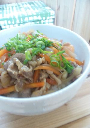 豚丼-レシピのメイン写真