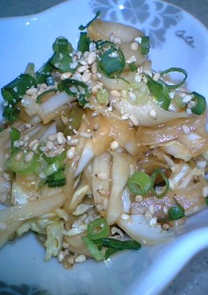 酢ネギで☆簡単白菜漬け-レシピのメイン写真