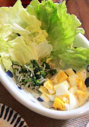 かぶの葉とちりめんじゃこの常備菜-レシピのメイン写真