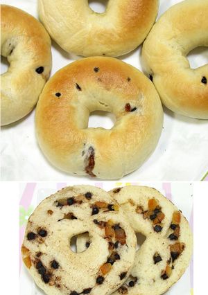 ベーグル★オレンジ＆チョコチップ★-レシピのメイン写真