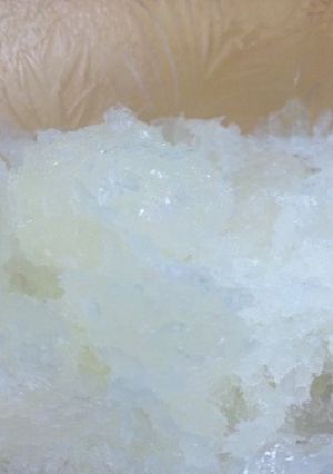 酎ハイ用シロップで簡単シャーベット-レシピのメイン写真
