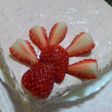ストロベリーレアチーズケーキ