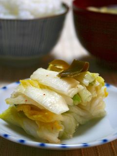 白菜漬け-レシピのメイン写真