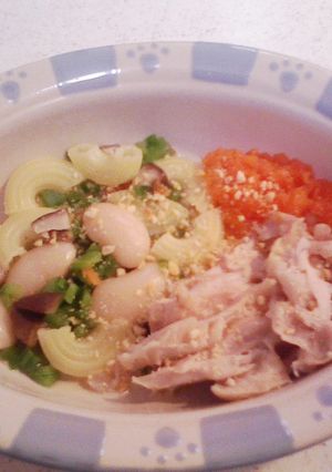 犬ご飯（鶏とマカロニでご飯）-レシピのメイン写真