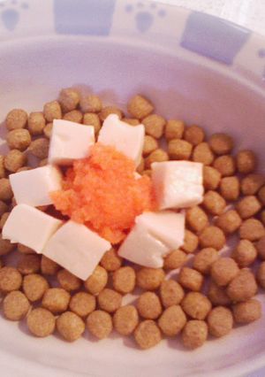 犬ご飯（ゴマ豆腐でトッピング）-レシピのメイン写真