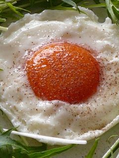 レンジで簡単目玉焼き-レシピのメイン写真