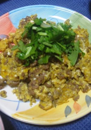 卵とひき肉の炒め物～山椒編-レシピのメイン写真