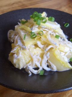 白菜としらすのマヨポン和え-レシピのメイン写真