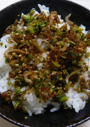 大根の葉でエコふりかけ-レシピのメイン写真