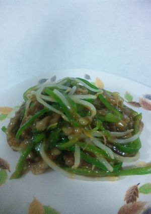 野菜たっぷりチンジャオロース-レシピのメイン写真