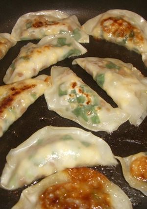 マクロビ風～納豆とからいり豆腐の餃子-レシピのメイン写真