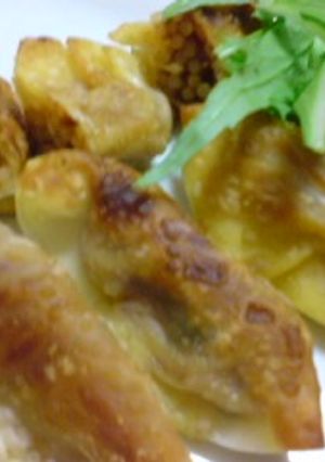 スパカレー餃子-レシピのメイン写真