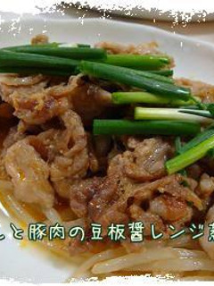 もやしと豚肉の豆板醤レンジ蒸し*-レシピのメイン写真
