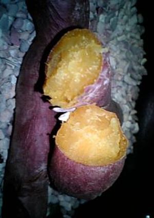 フライパンde石焼き芋-レシピのメイン写真