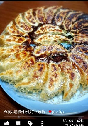 うまみがぎゅっ♥皮がサクッ♥焼き餃子-レシピのメイン写真