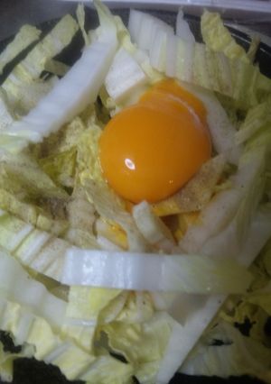すばやくおつまみ まぜまぜ白菜-レシピのメイン写真