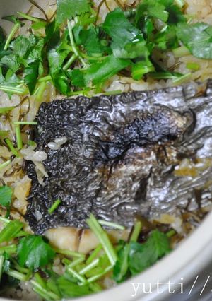 土鍋でもっちり鯛ご飯-レシピのメイン写真