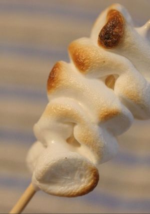 焼きマシュマロ-レシピのメイン写真