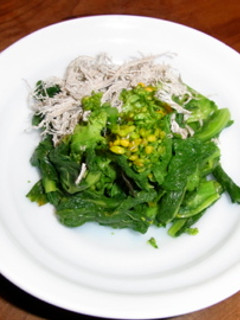 菜の花の昆布締め-レシピのメイン写真