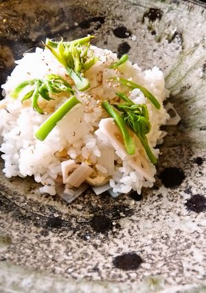 ウドとレンコンの混ぜご飯（混ぜ寿司）-レシピのメイン写真