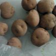 保存方法 じゃがいも