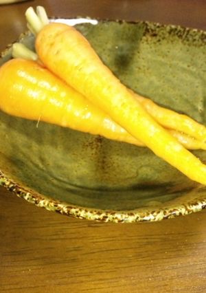 塩麹さんに人参漬けただけ-レシピのメイン写真
