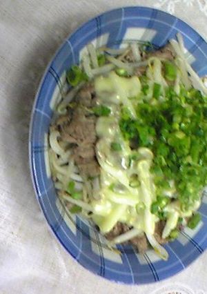 肉もやチー-レシピのメイン写真