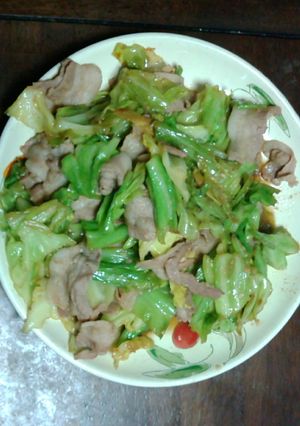 キャベツと豚肉だけの簡単回鍋肉-レシピのメイン写真