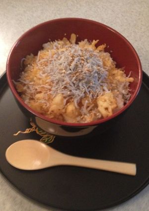 超簡単　天かす丼-レシピのメイン写真