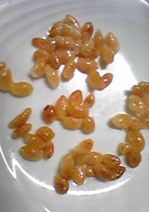 余ったひなあられを焼いたらおいしぃ…＊-レシピのメイン写真