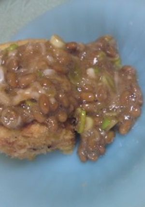 初心者れしぴ★豆腐カツ-レシピのメイン写真