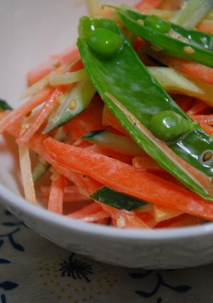 超簡単★千切り野菜サラダ-レシピのメイン写真