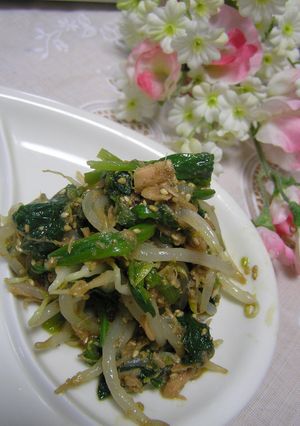 ほうれん草ともやしの ✿ツナ胡麻和え✿-レシピのメイン写真