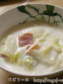 白菜のクリーム煮-レシピのメイン写真