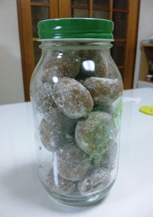 グアム風ココナッツクッキー-レシピのメイン写真