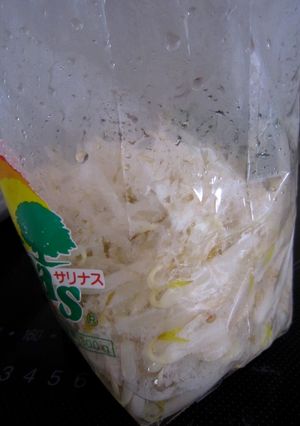 袋ごとレンジ＊茹でもやし＊-レシピのメイン写真