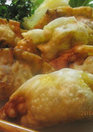 とろーりチーズ入りカレー揚げ餃子-レシピのメイン写真