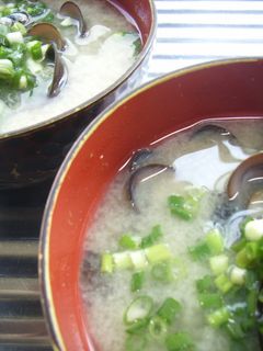 魚屋さんに教わった美味しい☆しじみ汁☆-レシピのメイン写真